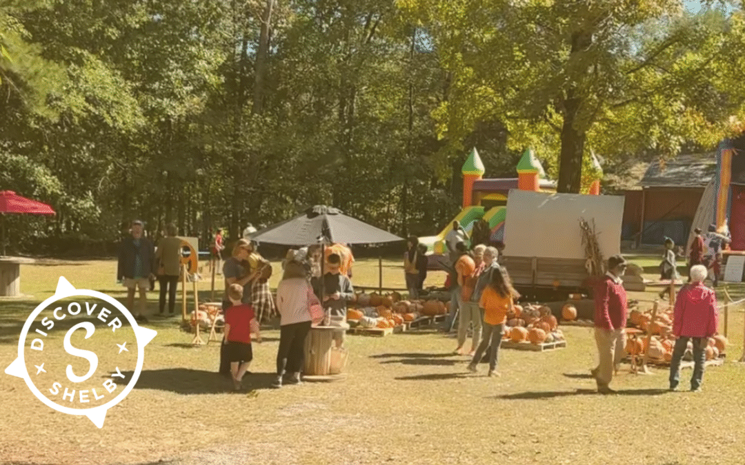 Pumpkin Patches In Shelby County