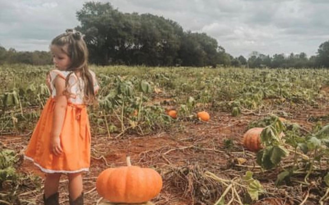 Fall Festivals And Events