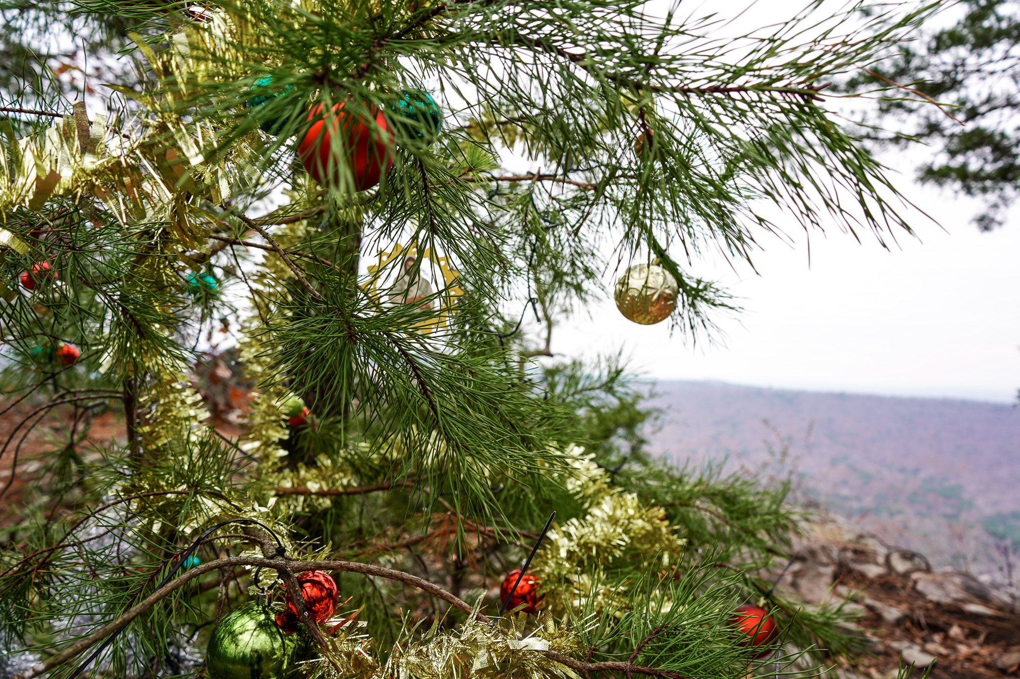 Double Oak Park – Watchtower Overlook 2